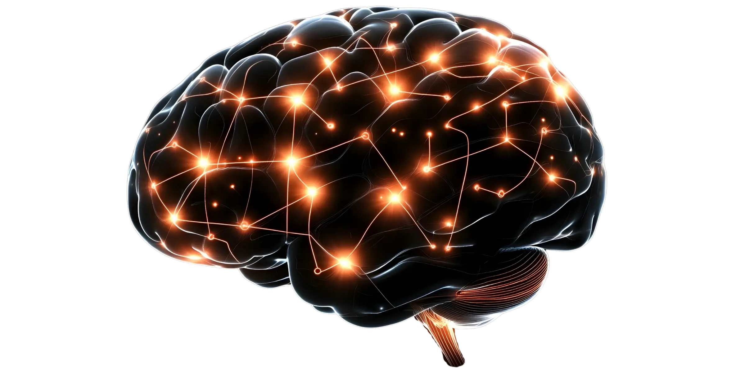 Digital Brain